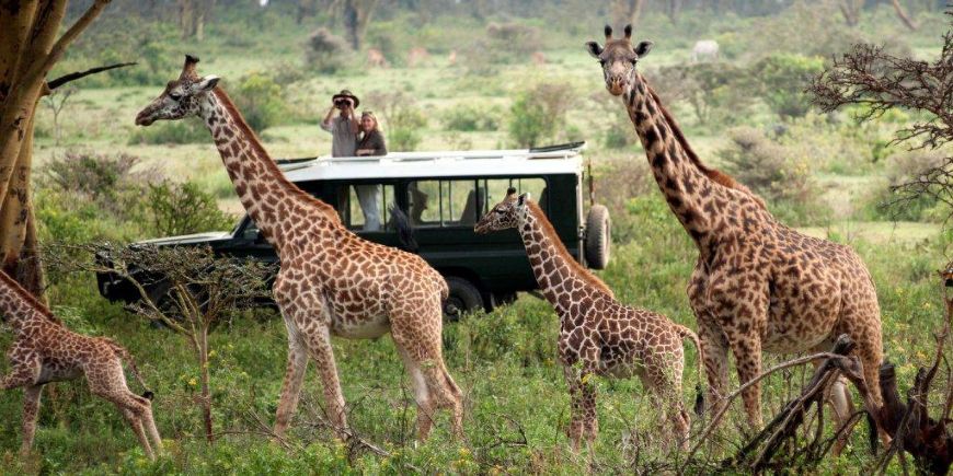 Masai Mara