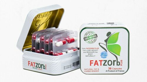 Recigar und Fatzorb